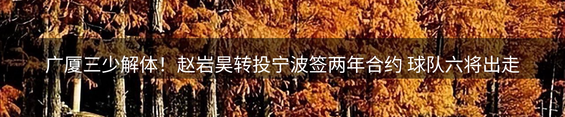 热点解析