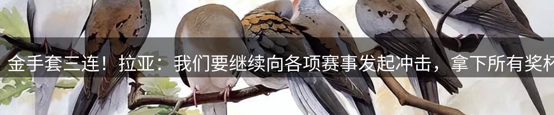 热点解析